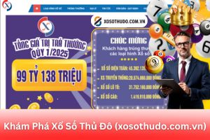 ảnh đại diện Khám Phá Xổ Số Thủ Đô (xosothudo.com.vn): Phân Tích Độ Tin Cậy Và Cập Nhật Liên Tục Đến Từng Giây