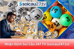 ảnh đại diện Nhận Định Soi Cầu 247 TV (soicau247.tv): Trải Nghiệm Người Dùng Và Đánh Giá Chuyên Sâu